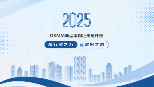 2025“DSMM典型案例”征集与评选活动正式启动！